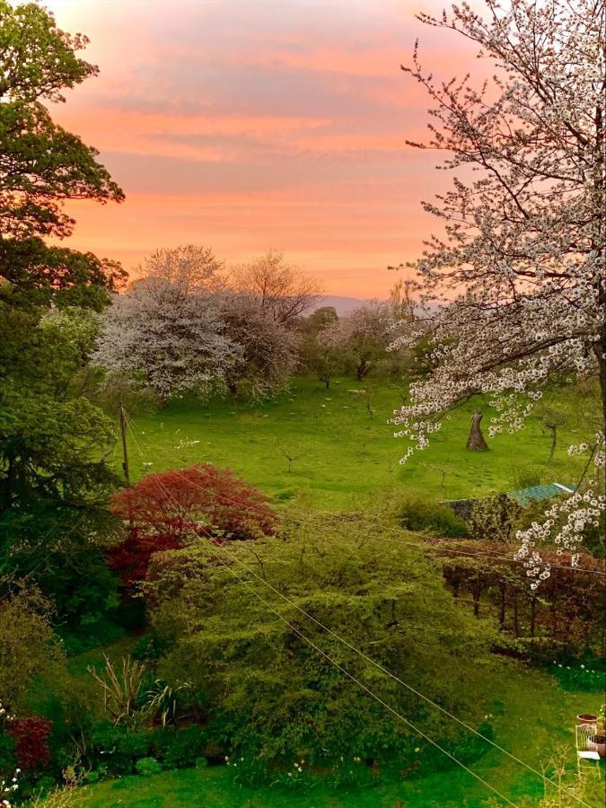 The Ruin At Maspie House Bed and Breakfast Falkland Exteriör bild